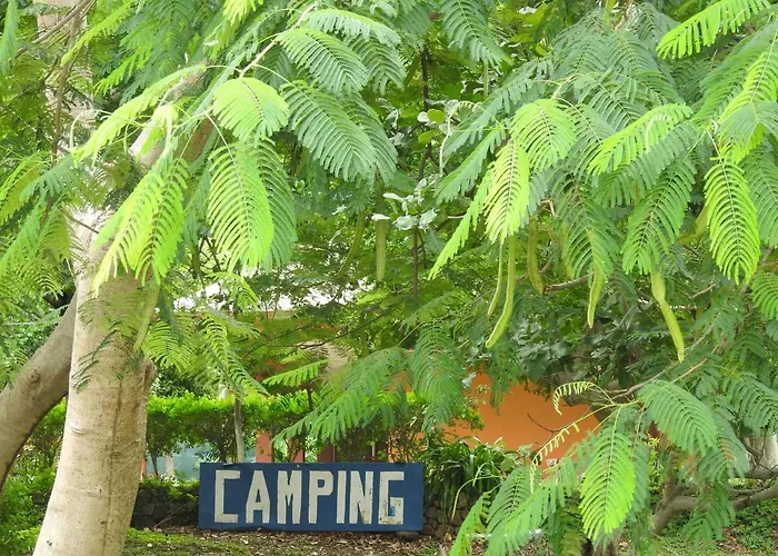 Capazuri Cañas